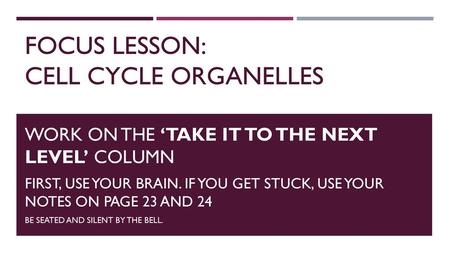 Focus Lesson: CELL CYCLE ORGANELLES