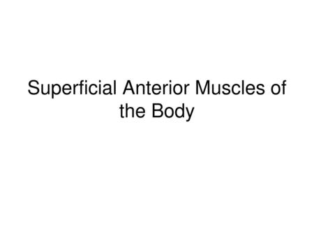 Superficial Anterior Muscles of the Body