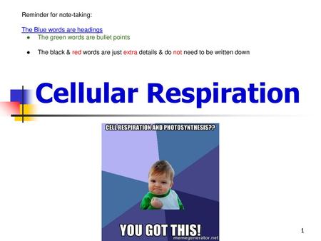 Cellular Respiration Reminder for note-taking: