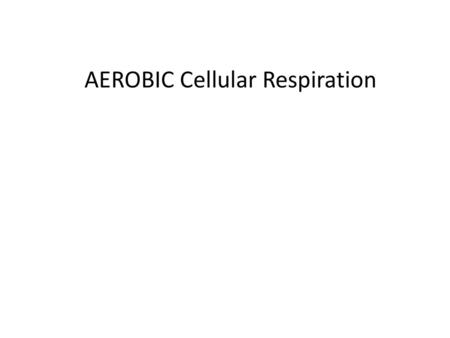 AEROBIC Cellular Respiration