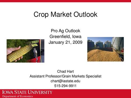 Assistant Professor/Grain Markets Specialist