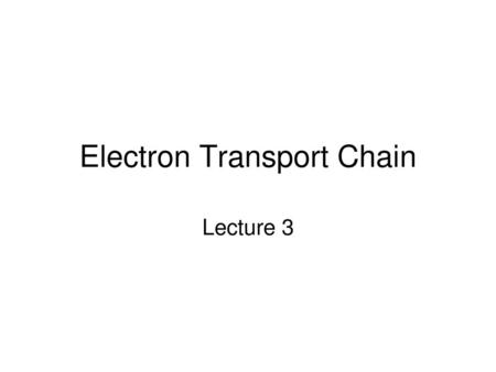 Electron Transport Chain