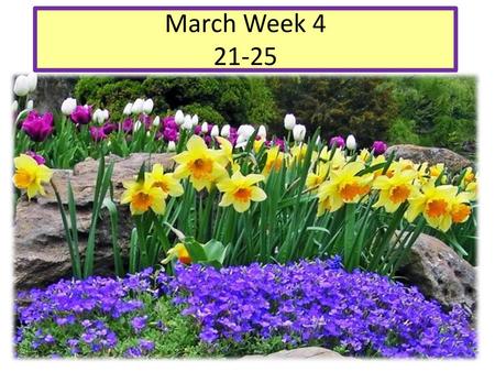 March Week 4 21-25.