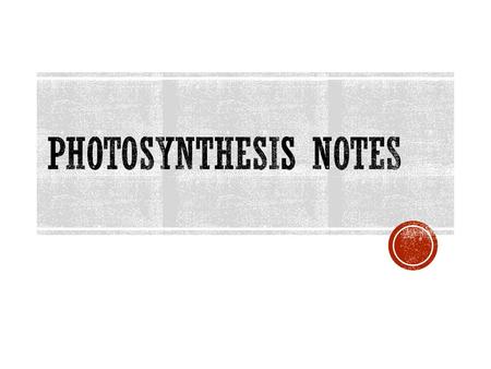 Photosynthesis Notes.