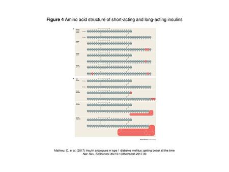 Figure 4 Amino acid structure of short-acting and long-acting insulins