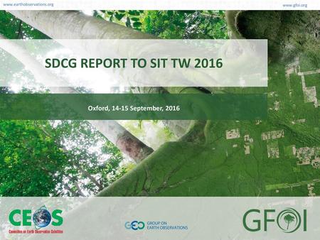 SDCG REPORT TO SIT TW 2016 Oxford, 14-15 September, 2016.