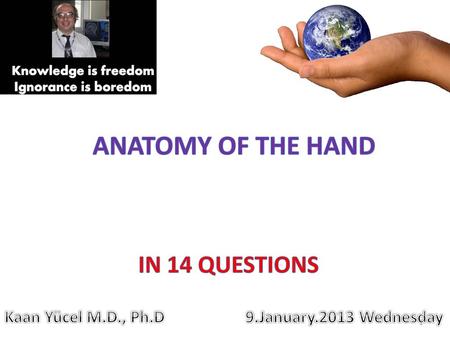 Anatomy of the hand IN 14 QUESTIONS Kaan Yücel M.D., Ph.D