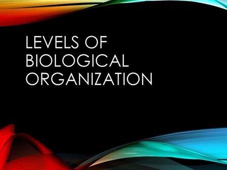 Levels of Biological Organization