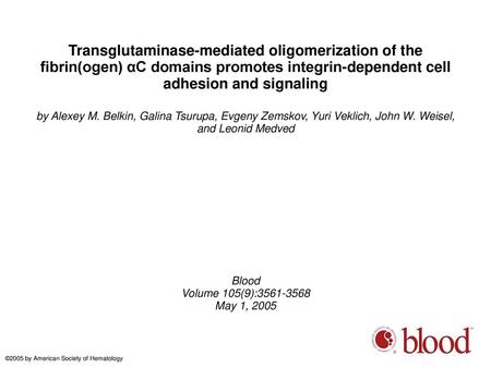 Transglutaminase-mediated oligomerization of the fibrin(ogen) αC domains promotes integrin-dependent cell adhesion and signaling by Alexey M. Belkin, Galina.