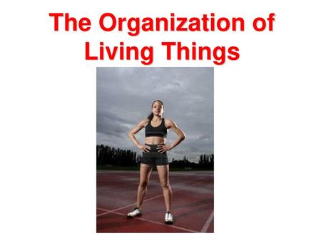 The Organization of Living Things