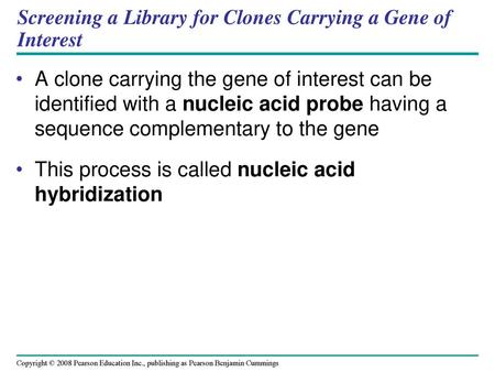 Screening a Library for Clones Carrying a Gene of Interest