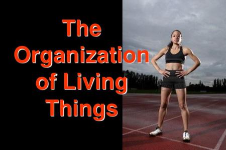 The Organization of Living Things