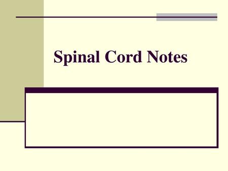 Spinal Cord Notes.