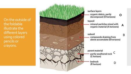 O On the outside of the foldable illustrate the different layers using colored pencils or crayons. A B C D.