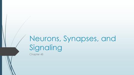 Neurons, Synapses, and Signaling