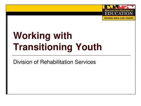 Working with Transitioning Youth