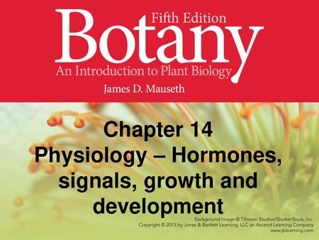 Chapter 14 Physiology – Hormones, signals, growth and development