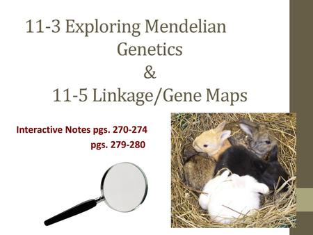 11-3 Exploring Mendelian Genetics & 11-5 Linkage/Gene Maps