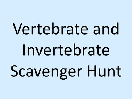 Vertebrate and Invertebrate Scavenger Hunt