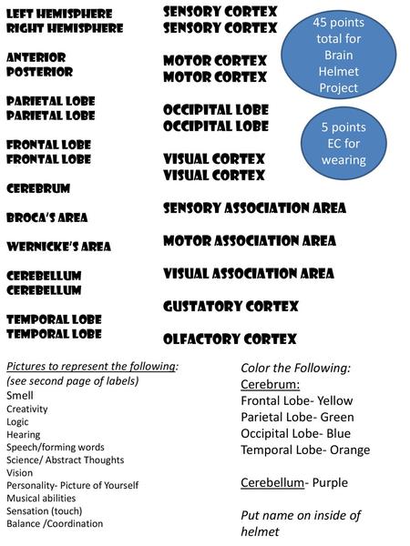 45 points total for Brain Helmet