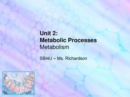 Unit 2: Metabolic Processes Metabolism