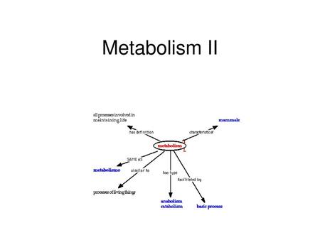 Metabolism II.