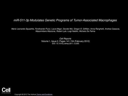 miR-511-3p Modulates Genetic Programs of Tumor-Associated Macrophages