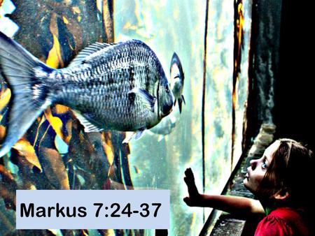 Markus 7:24-37 PowerPoint agtergrond