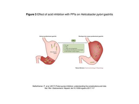 Nat. Rev. Gastroenterol. Hepatol. doi: /nrgastro