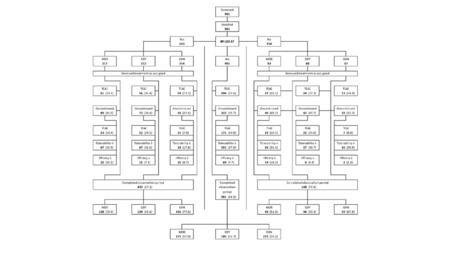 Figure 1: Patient disposition.