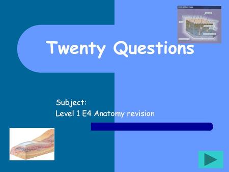 Subject: Level 1 E4 Anatomy revision