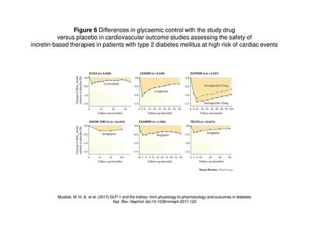 Figure 6 Differences in glycaemic control with the study drug