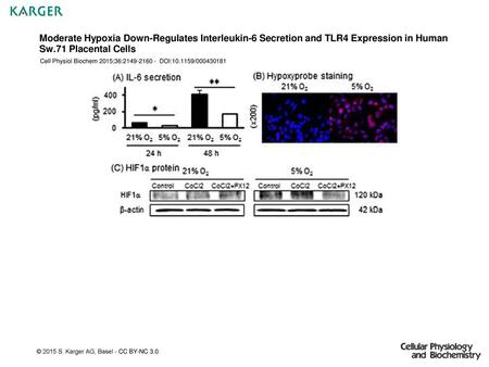 Moderate Hypoxia Down-Regulates Interleukin-6 Secretion and TLR4 Expression in Human Sw.71 Placental Cells Cell Physiol Biochem 2015;36:2149-2160 - DOI:10.1159/000430181.