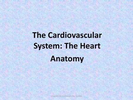 The Cardiovascular System: The Heart Anatomy