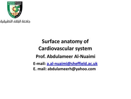 Surface anatomy of Cardiovascular system