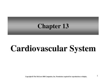 Cardiovascular System