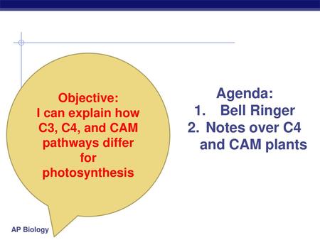 Agenda: Bell Ringer Notes over C4 and CAM plants