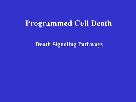 Death Signaling Pathways