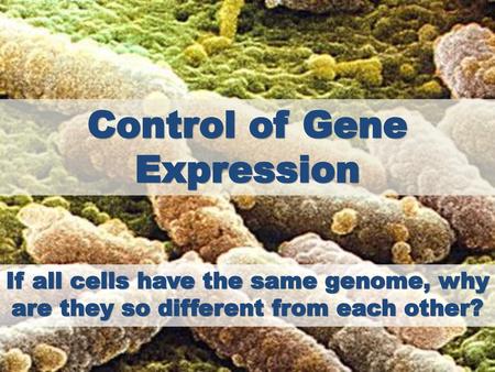 Control of Gene Expression