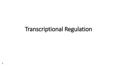 Transcriptional Regulation