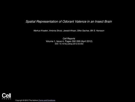 Spatial Representation of Odorant Valence in an Insect Brain