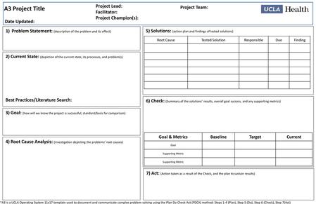 A3 Project Title Project Lead: Facilitator: Project Champion(s):