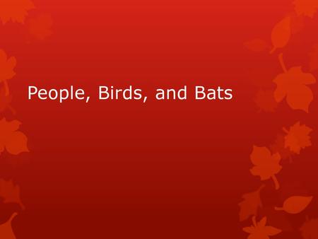 People, Birds, and Bats.