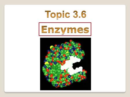 Topic 3.6 Enzymes.