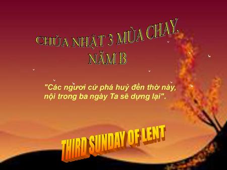 CHÚA NHẬT 3 MÙA CHAY. NĂM B THIRD SUNDAY OF LENT