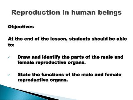 Reproduction in human beings