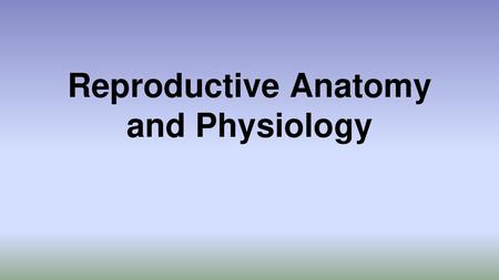 Reproductive Anatomy and Physiology