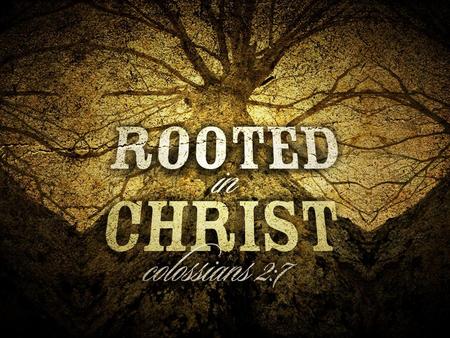 Rooted in Prayer Colossians 1:9-11. Rooted in Prayer Colossians 1:9-11.