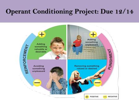 Operant Conditioning Project: Due 12/14