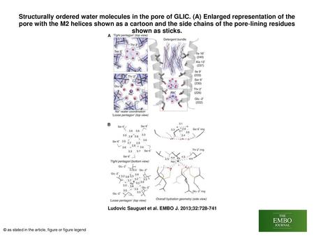 Structurally ordered water molecules in the pore of GLIC